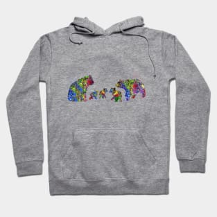 Bear family Hoodie